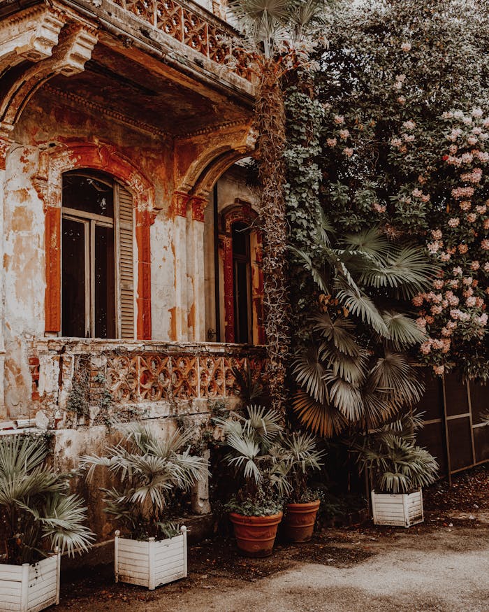 service-05 Explore a vintage villa with lush greenery in picturesque Stresa, Italy.